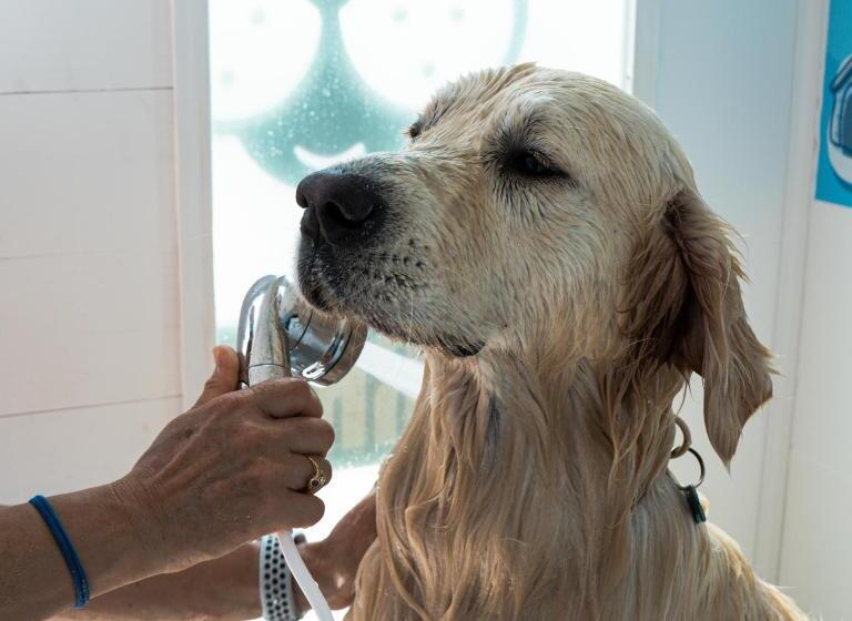 בית מלון כפרי Dei Bizantini & Villaggio Campo Dei Messapi