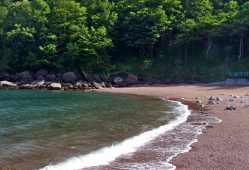 Bed and Breakfast Wayfarer Guest House