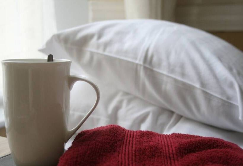 Bed and Breakfast Wayfarer Guest House