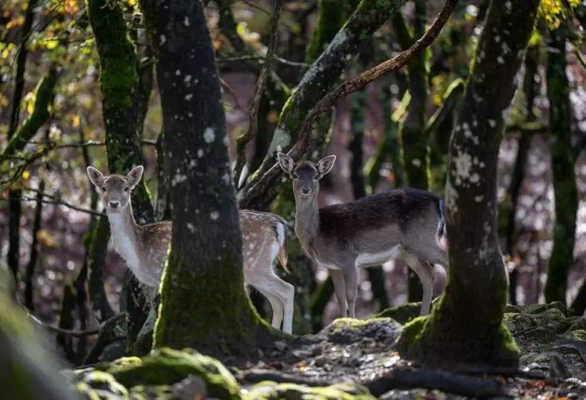 Отель Bourazani Wild Life Resort