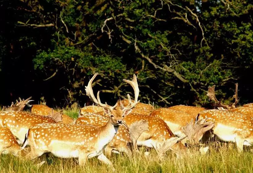 Отель Bourazani Wild Life Resort