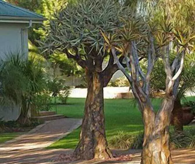 בית מלון כפרי Hlangana Lodge