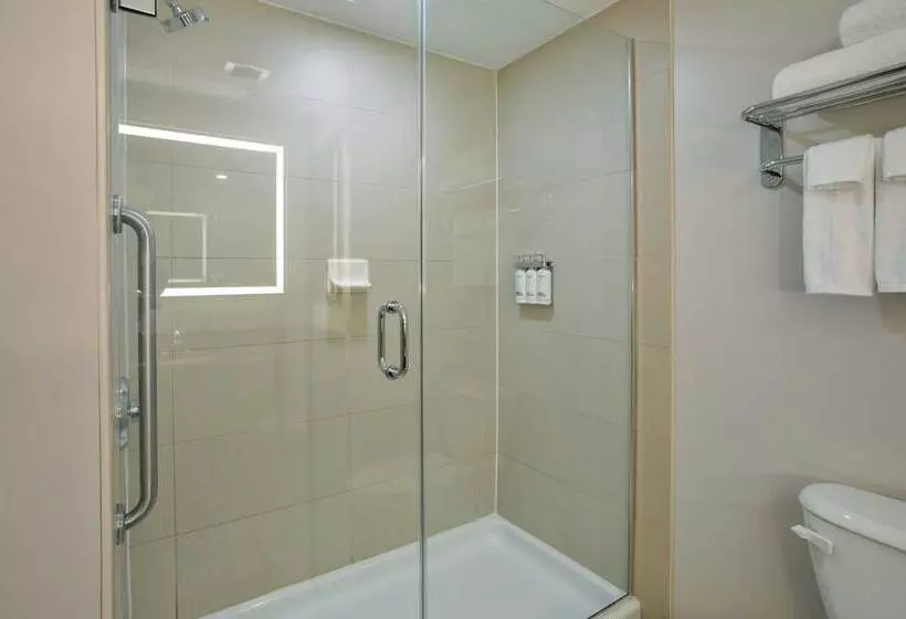 Hôtel Holiday Inn Express Kingston Central, An Ihg