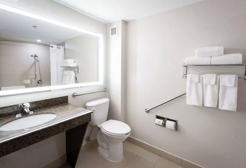 Hôtel Holiday Inn Express Kingston Central, An Ihg