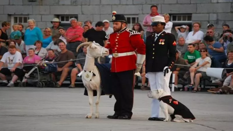 Hôtel Holiday Inn Express Kingston Central, An Ihg