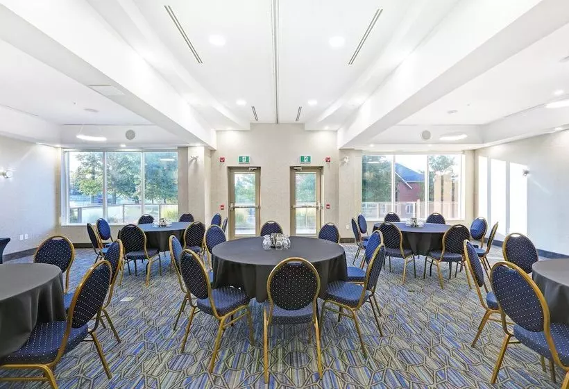 酒店 Holiday Inn Express & Suites Woodstock, On Canada