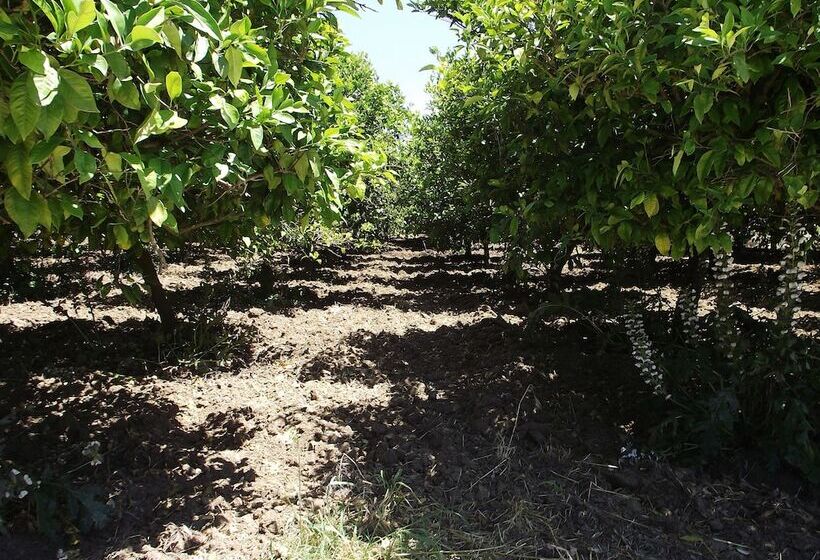 هتل Il Casale Delle Rose