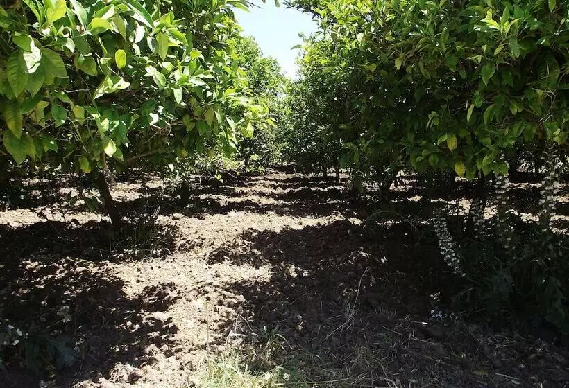 Otel Il Casale Delle Rose