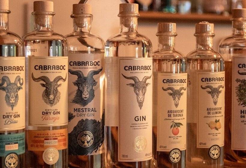 Отель Rural Nou Dalt Muntanya