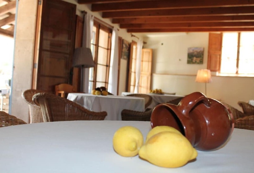 Отель Rural Nou Dalt Muntanya