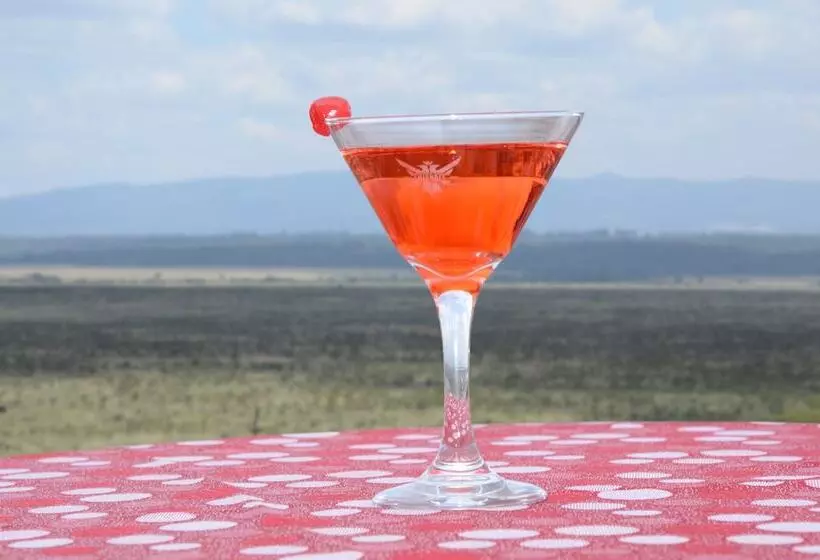 The Panari Hotel   Near Jomo Kenyatta International Airport