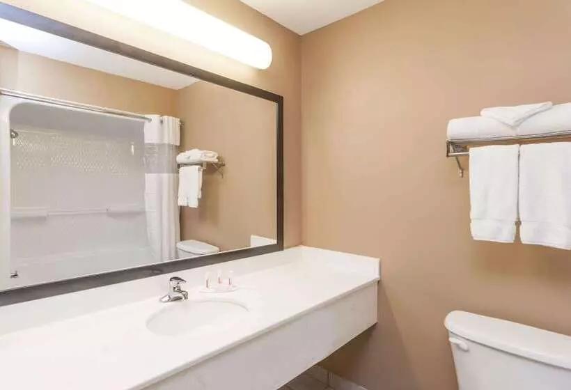 호텔 Baymont By Wyndham New Buffalo