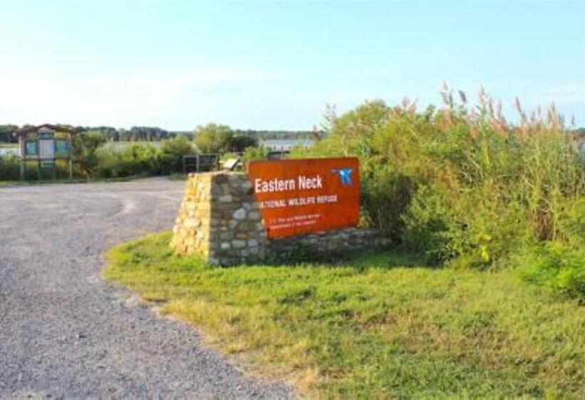 酒店 Comfort Inn & Suites Chestertown