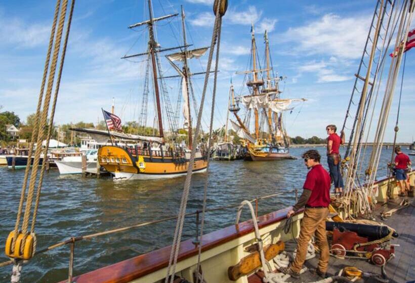 酒店 Comfort Inn & Suites Chestertown