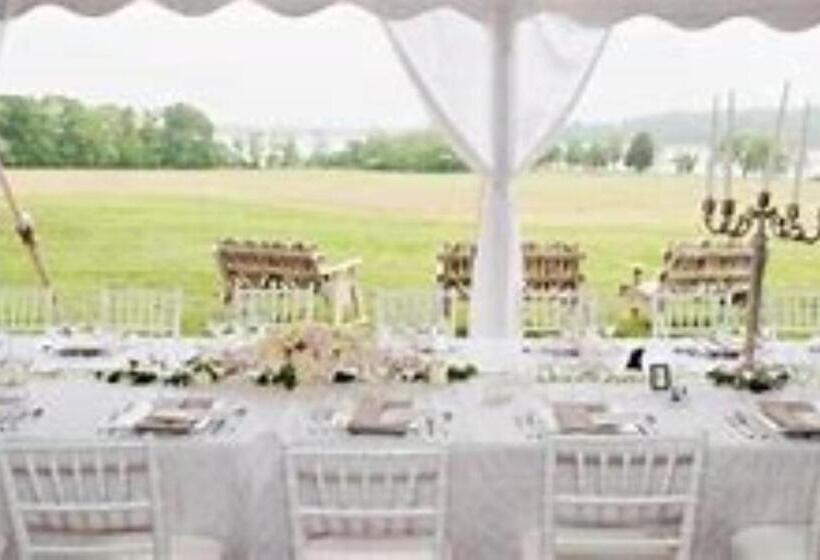 酒店 Comfort Inn & Suites Chestertown