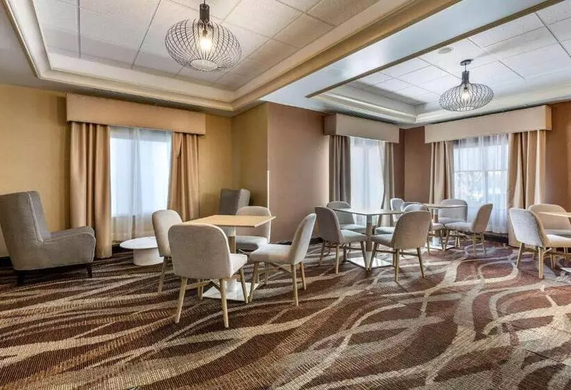 فندق Comfort Inn & Suites Chestertown