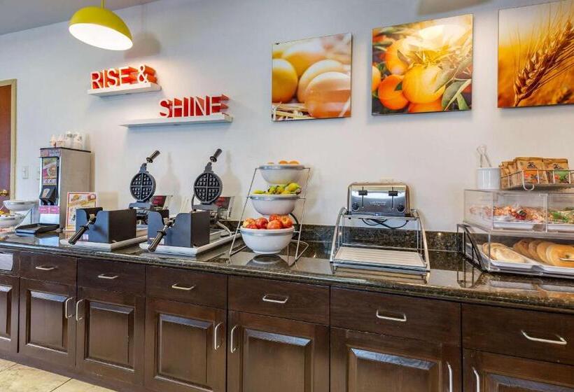 酒店 Comfort Inn & Suites Chestertown