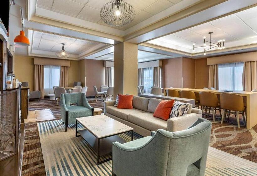 酒店 Comfort Inn & Suites Chestertown