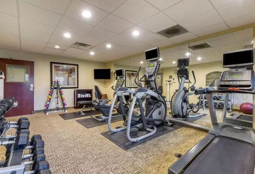 فندق Comfort Inn & Suites Chestertown