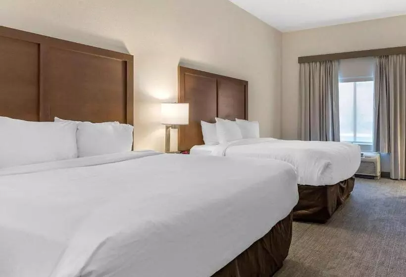 فندق Comfort Inn & Suites Chestertown