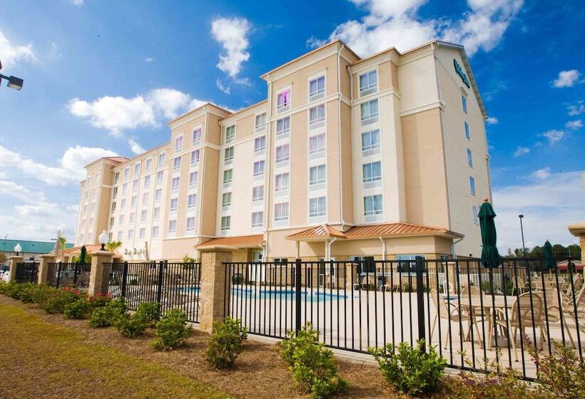 Отель Holiday Inn Valdosta Conference Center, An Ihg