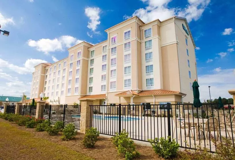 酒店 Holiday Inn Valdosta Conference Center, An Ihg