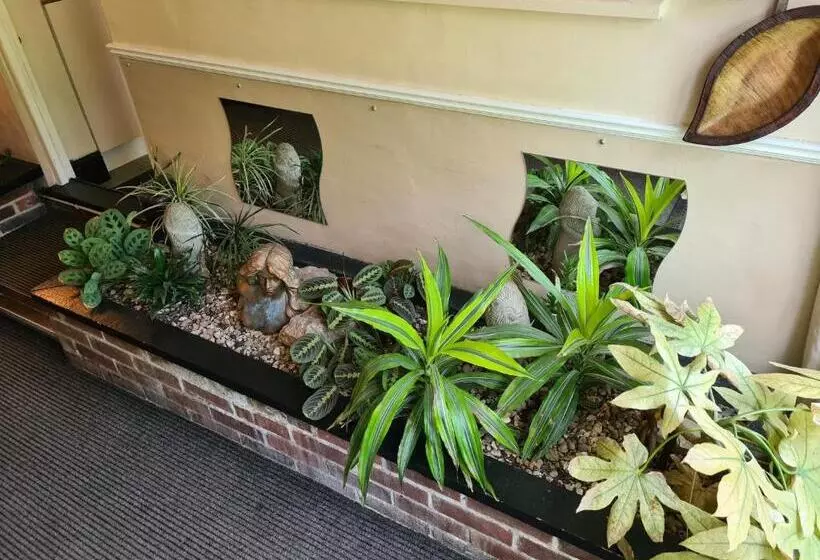 בית מלון כפרי Tudor Lodge