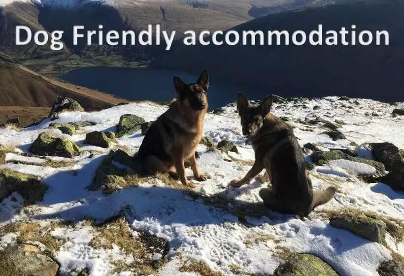 Alberg Gosforth Hall Inn