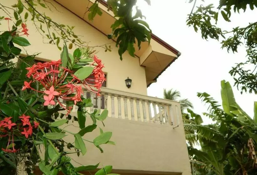 ペンション Mallika Guest House