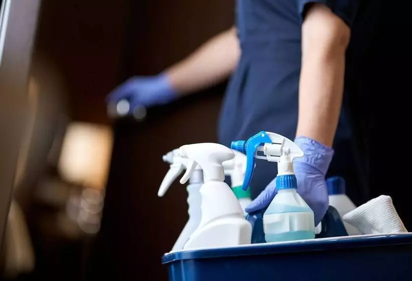 Bed and Breakfast Springfield House   Birmingham Airport & Nec