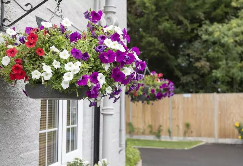 Bed and Breakfast Springfield House   Birmingham Airport & Nec