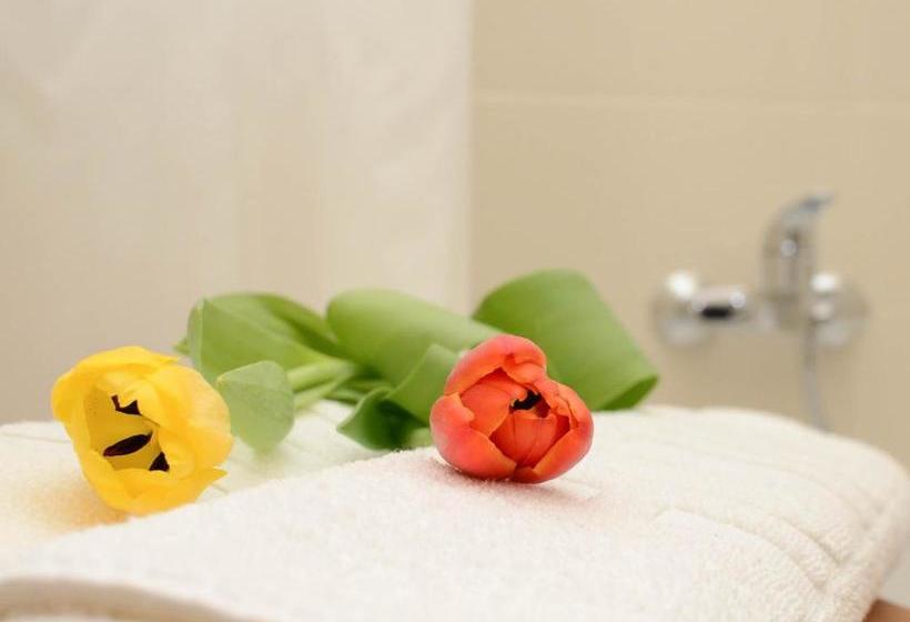 Green Dream Apartments