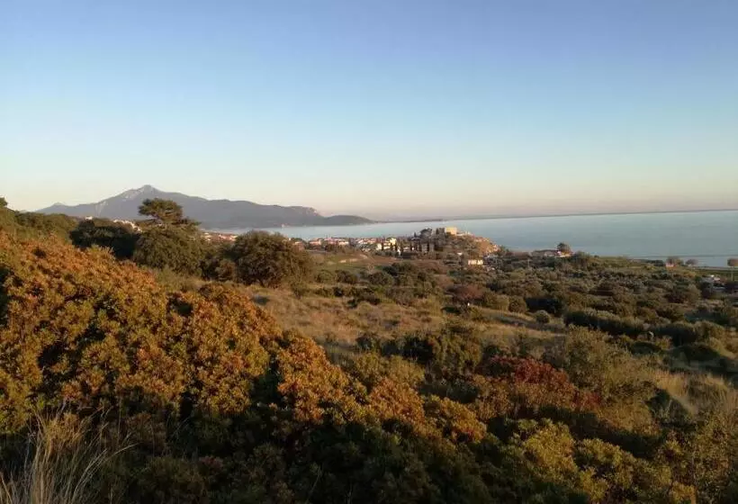 Hotel Apollon Resort