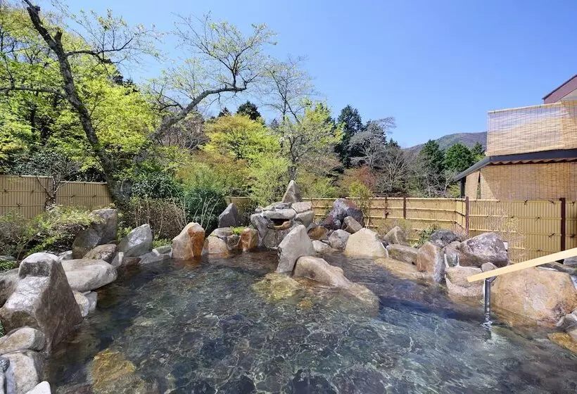 酒店 Hakone Kogen