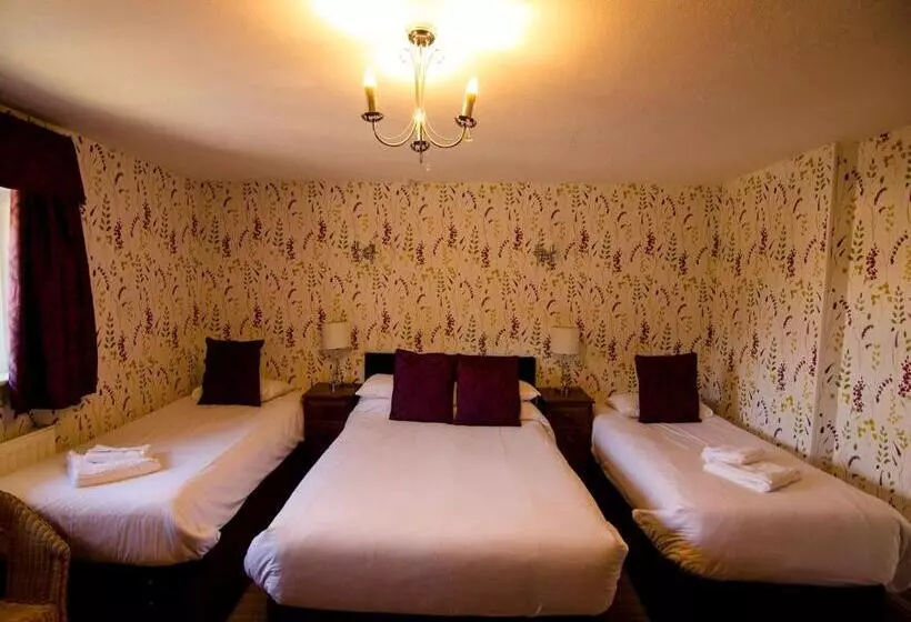 住宿加早餐  Arundel House