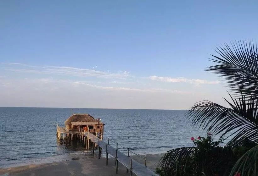 هتل Catembe Gallery