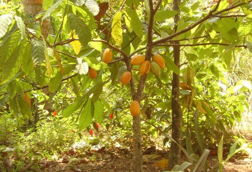 Отель Pousada Lagoa Do Cassange