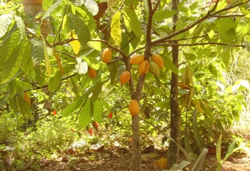 בית מלון כפרי Pousada Lagoa Do Cassange