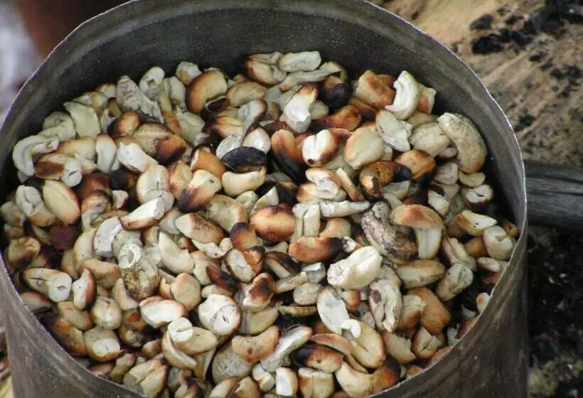 בית מלון כפרי Pousada Lagoa Do Cassange