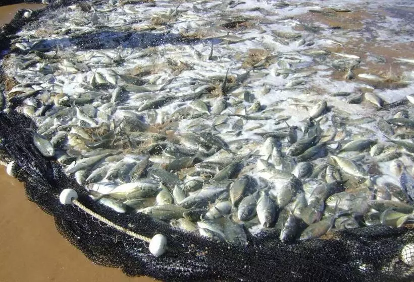 בית מלון כפרי Pousada Lagoa Do Cassange