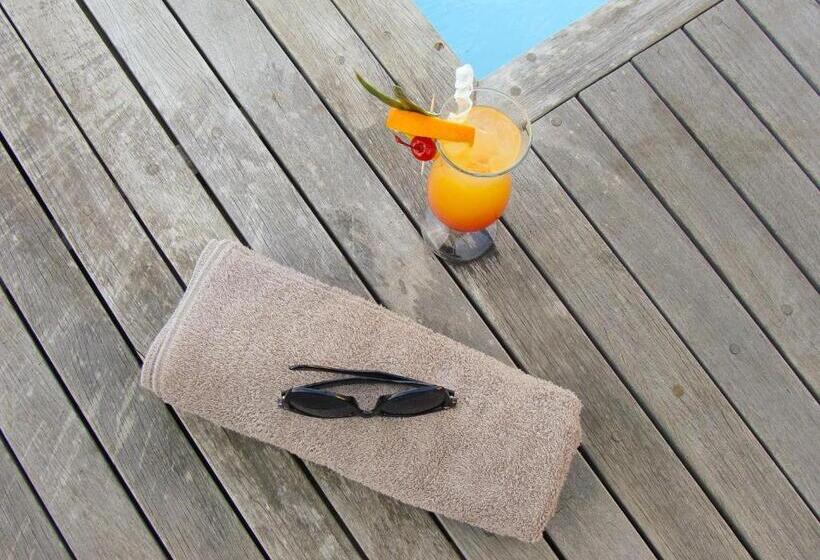 בית מלון כפרי Endless Horizons Boutique