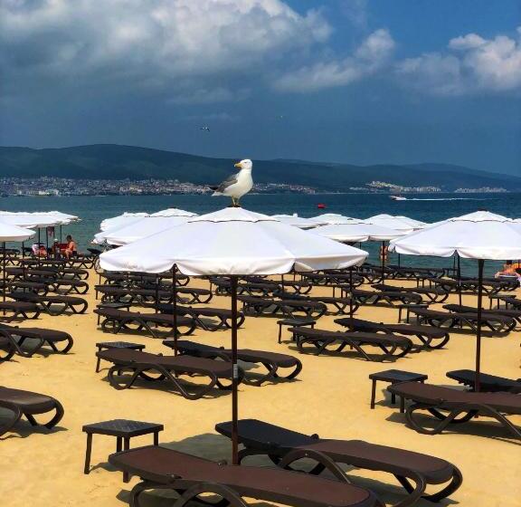 ホテル Flamingo Beach