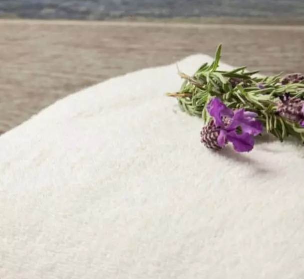 Hotel Le Neptune & Spa