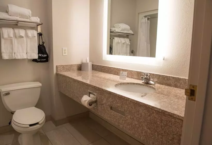 Holiday Inn Express Hotel & Suites Elkhart South, An Ihg