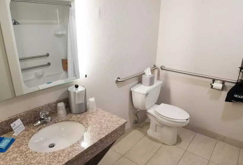 Holiday Inn Express Hotel & Suites Elkhart South, An Ihg