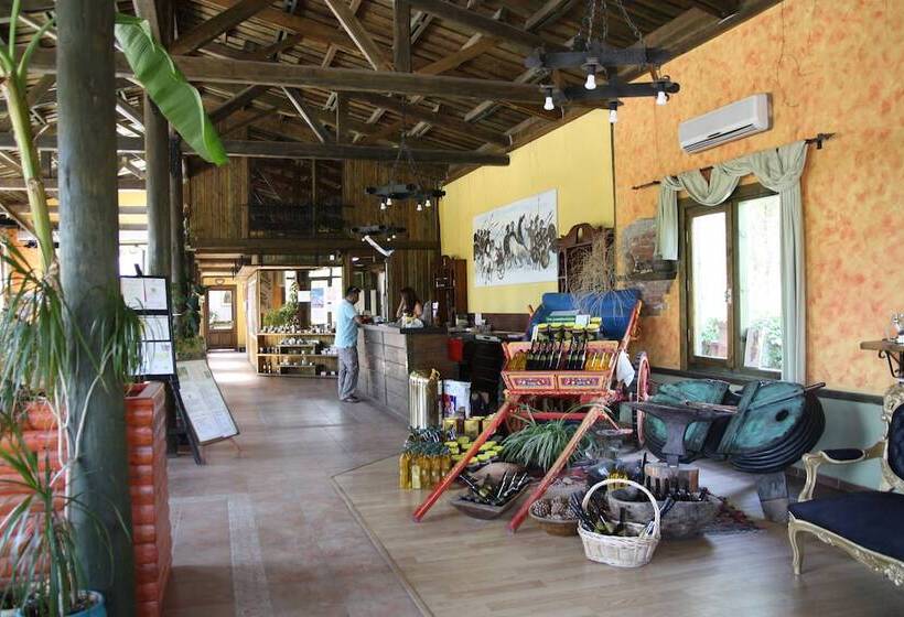 فندق Club Afrodit