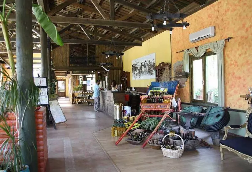 בית מלון כפרי Club Afrodit