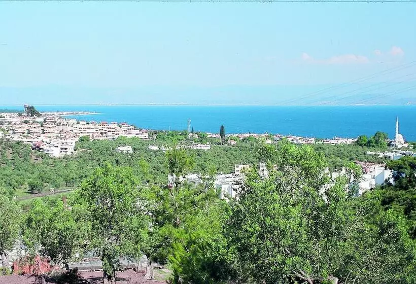 בית מלון כפרי Club Afrodit