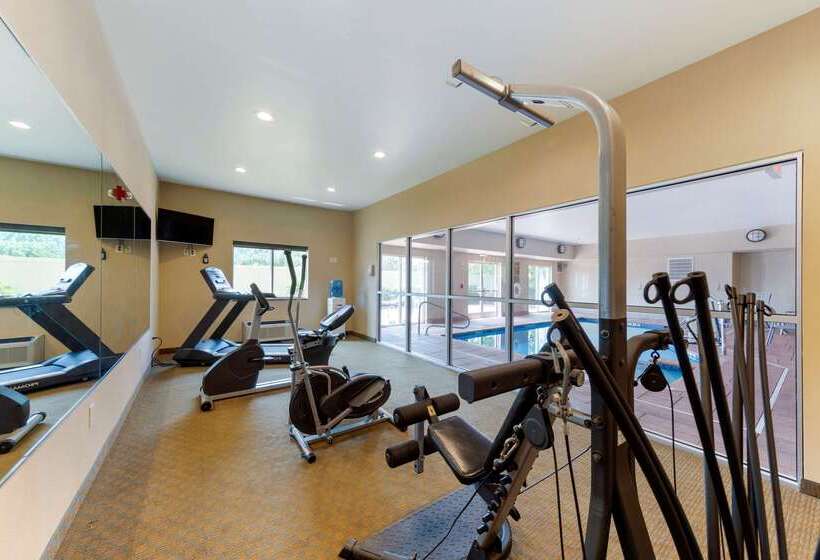 فندق Comfort Inn Near University