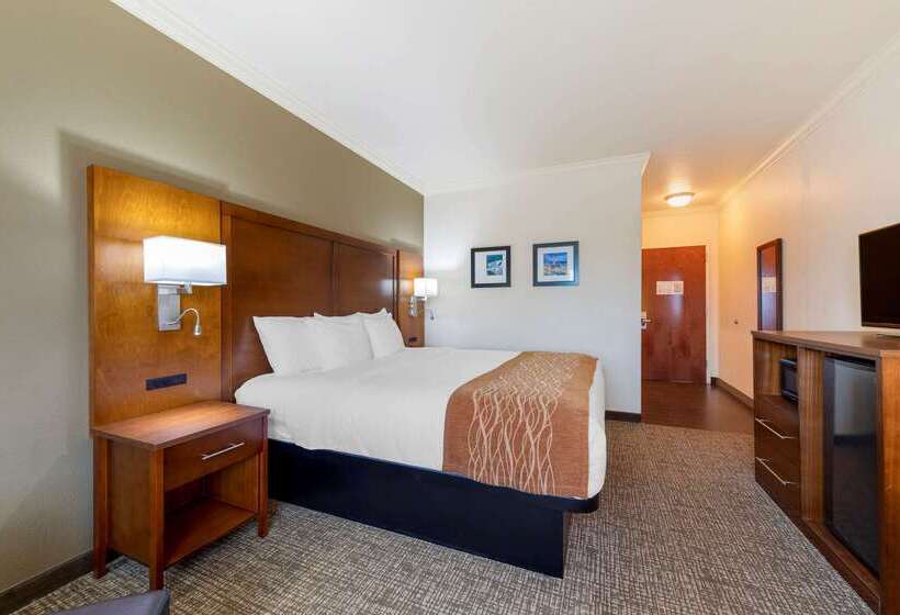 فندق Comfort Inn Near University